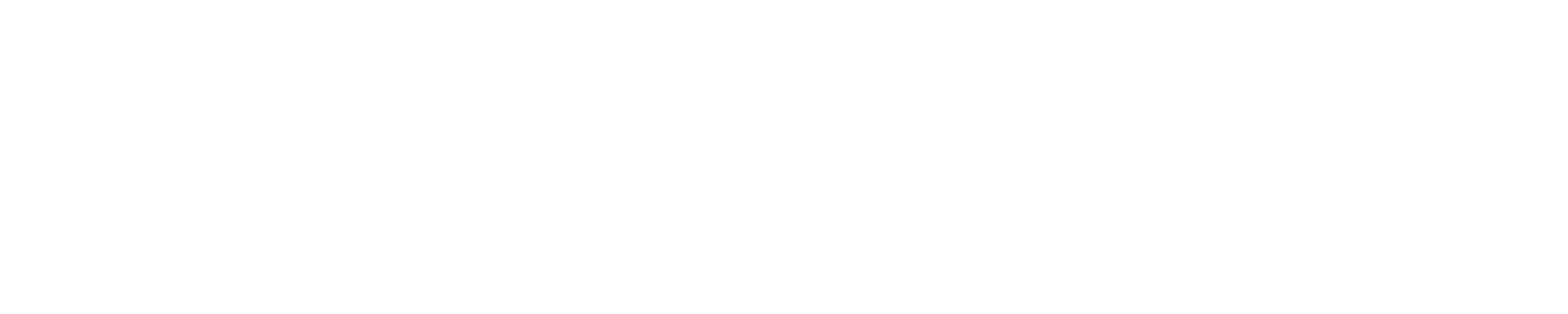 Brodie Logo